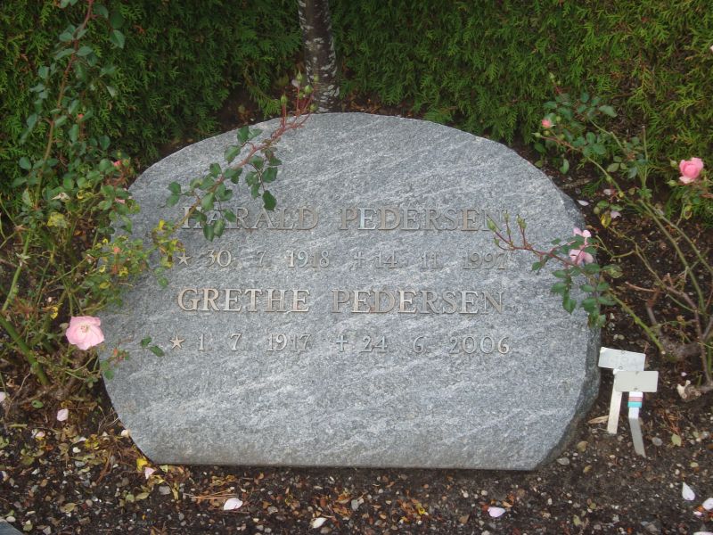 Harald Pedersen.JPG